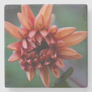 Orange Dahlia II Stone Coaster