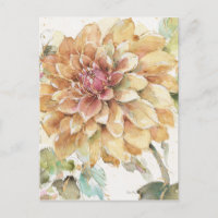 Orange Dahlia