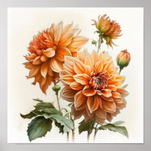 Orange Dahlias Flower Art Print Poster