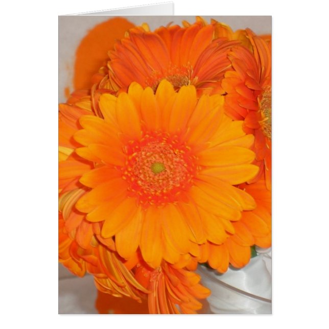 Orange Daisies (Front)