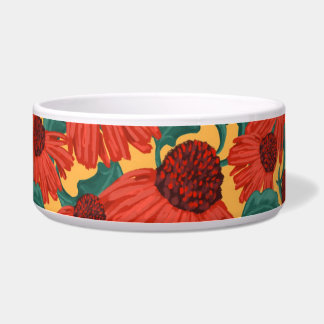 Orange daisy
