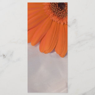 Orange Daisy and White Satin Wedding Program