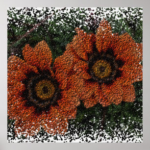 Orange Daisy Balls Poster
