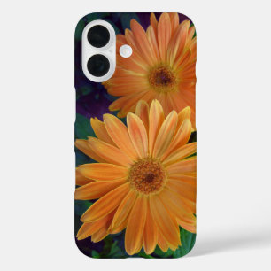 Orange Daisy iPhone 16 Case