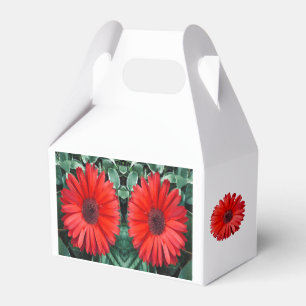 Orange Daisy Favour Box
