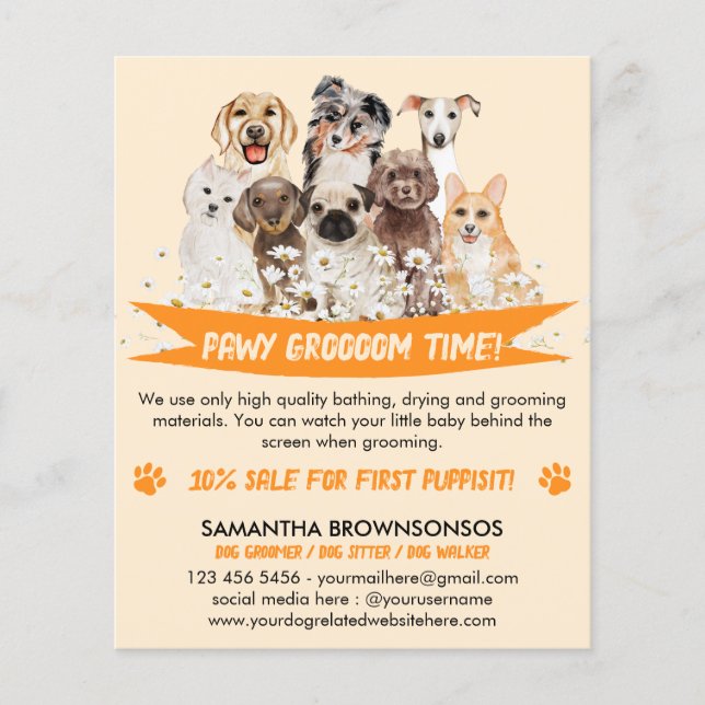 Orange Daisy Floral Design for Dog Groomers Flyer (Front)