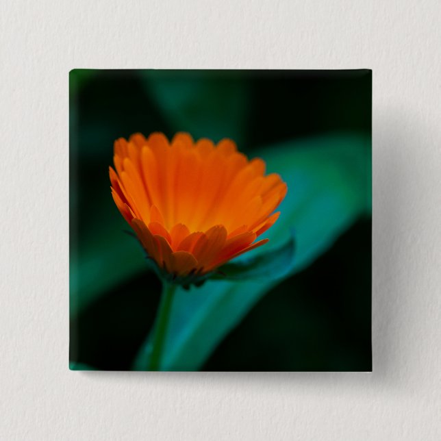 Orange daisy flower 15 cm square badge (Front)