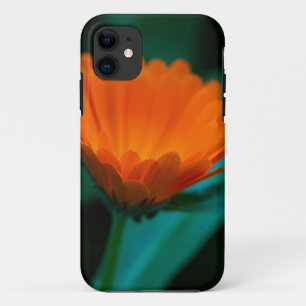 Orange daisy flower iPhone 11 case
