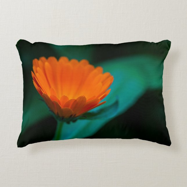 Orange daisy flower decorative cushion (Front)