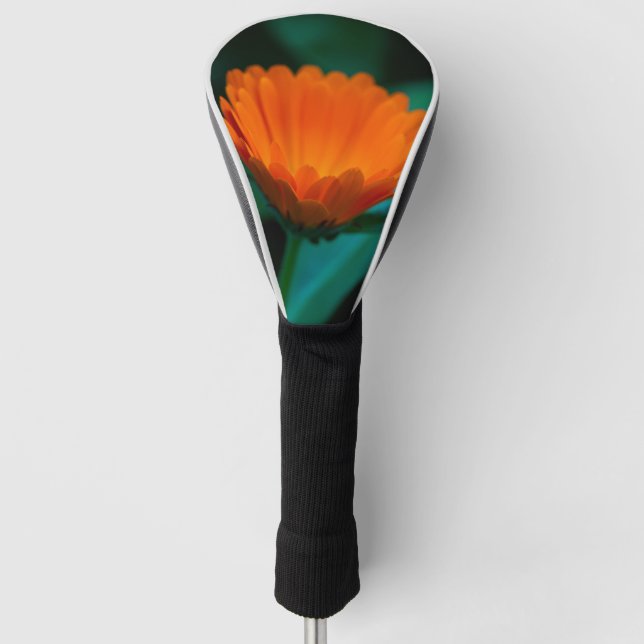 Orange daisy flower golf head cover (Front)