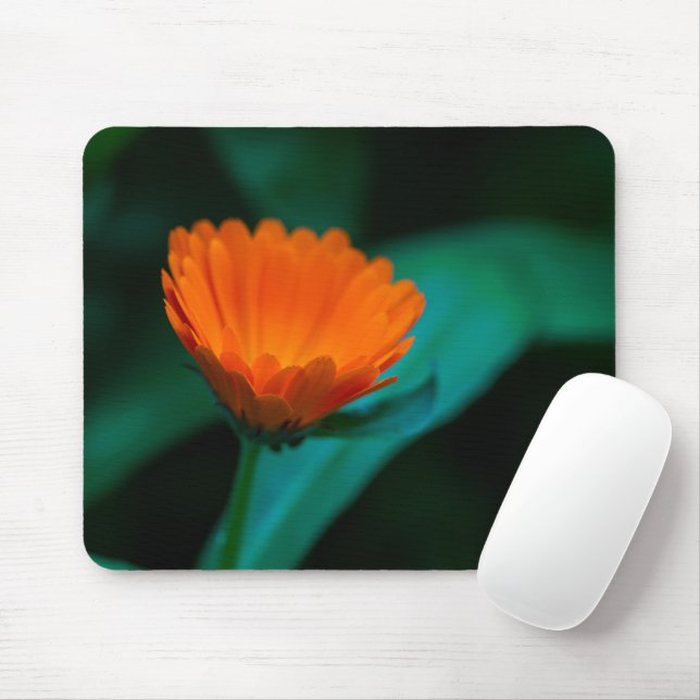 Orange daisy flower mouse pad (With Mouse)