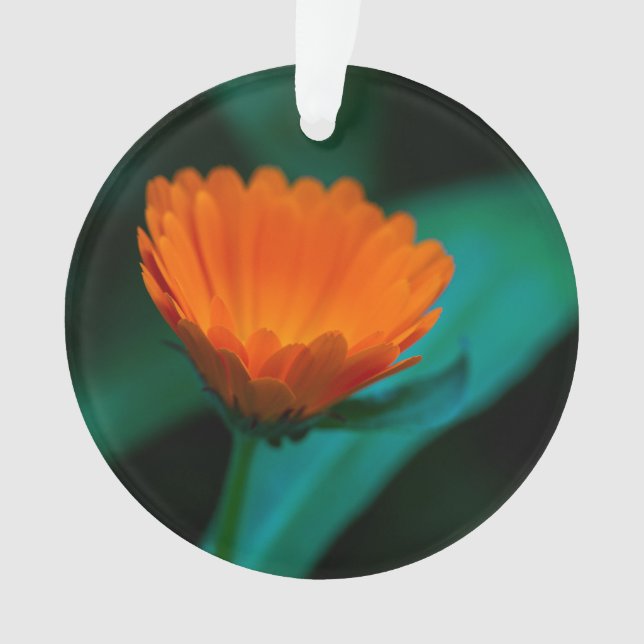 Orange daisy flower ornament (Front)