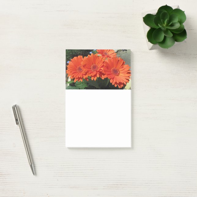 Orange Daisy Flower Photo  Post-it Notes (Office)