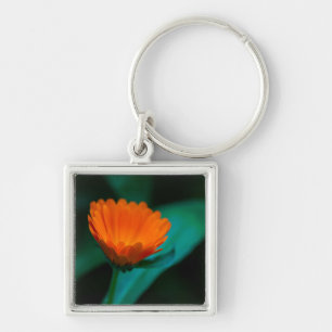 Orange Daisy Flower Photograph Key Ring