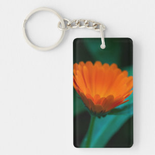 Orange Daisy Flower Photograph Key Ring