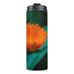 Orange Daisy Flower Photograph Thermal Tumbler