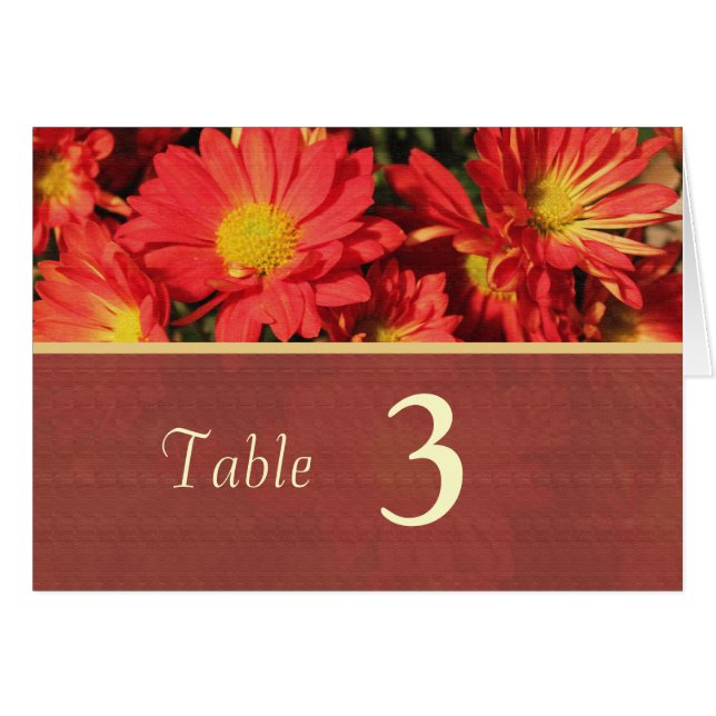 Orange daisy flowers dinner table number card (Front Horizontal)
