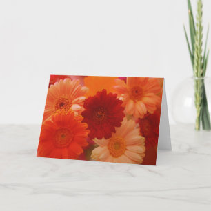 Orange Daisy Flowers Photo Note or Greeting Card