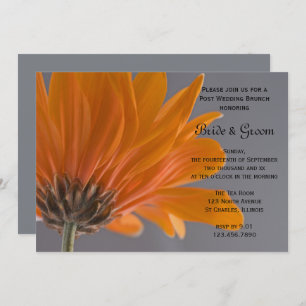 Orange Daisy Grey Post Wedding Brunch Invitation