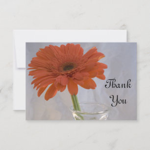 Orange Daisy in Vase Flat Thank You Notes