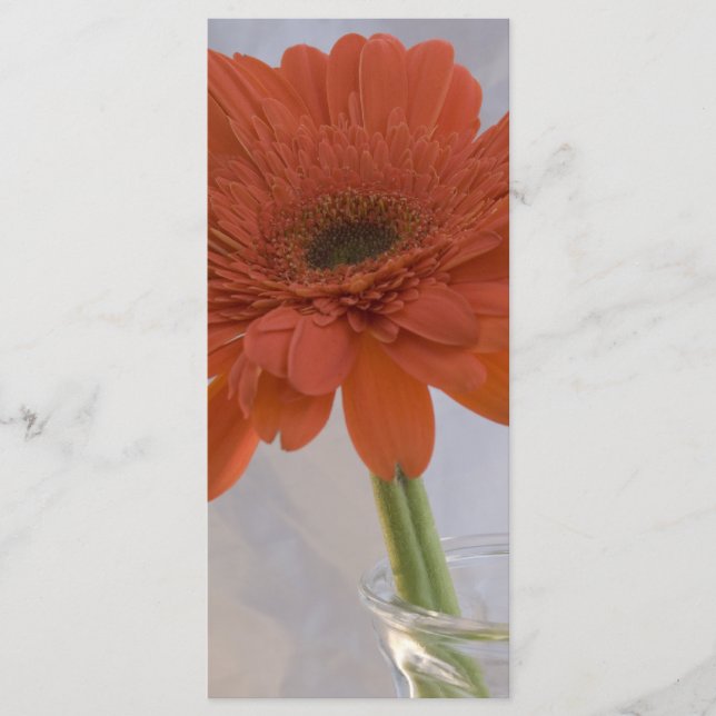Orange Daisy in Vase Wedding Program (Front)