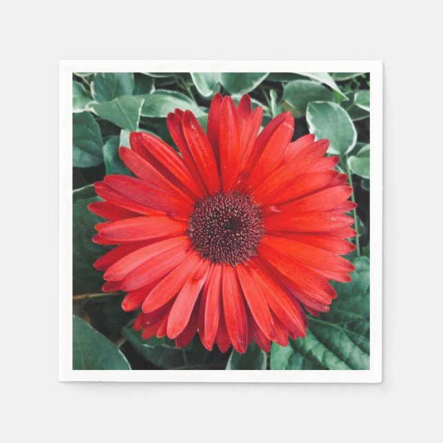 Orange Daisy napkins  (Front)