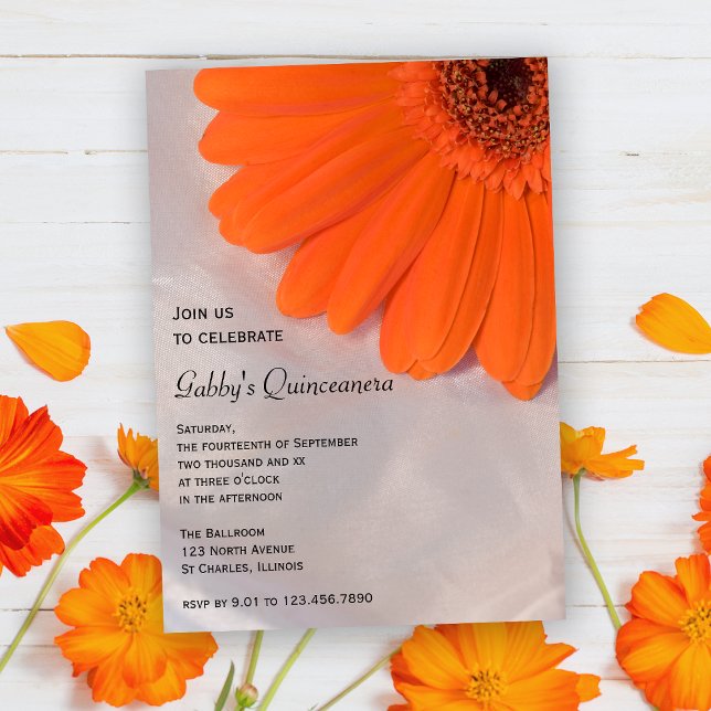 Orange Daisy on Satin Quinceanera Party Invitation (Creator Uploaded)