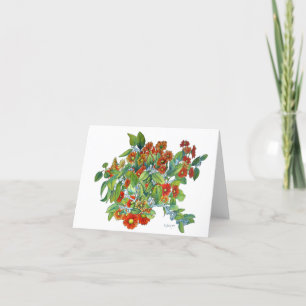 Orange Daisy Small Card