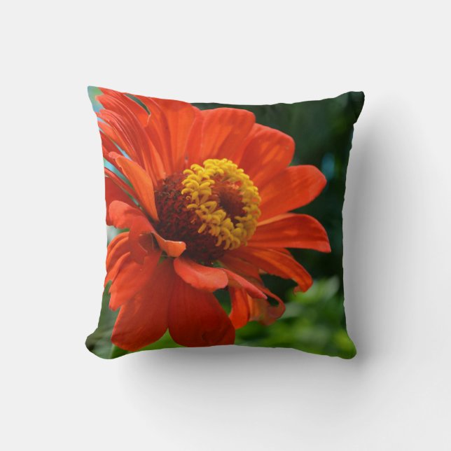 Orange daisy, zinnia, cosmo cushion (Front)