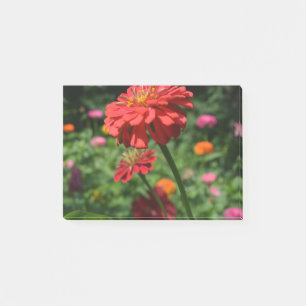 Orange daisy, zinnia, cosmo, sunflower garden post-it notes
