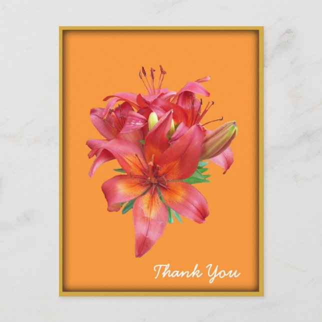 Orange Day Lily Flower Postcard (Front)