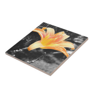 Orange Day Lily Picture Tile