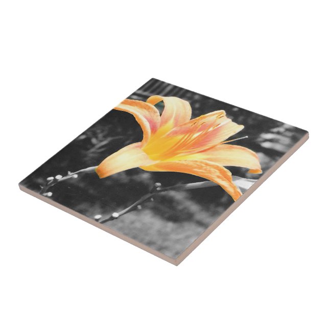Orange Day Lily Picture Tile (Side)