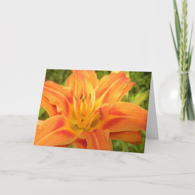 Orange Day Lily To Brighten Your World Card (Front)
