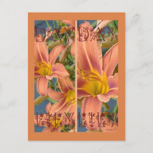 ORANGE DAYLILIES BOOKMARKS POSTCARD