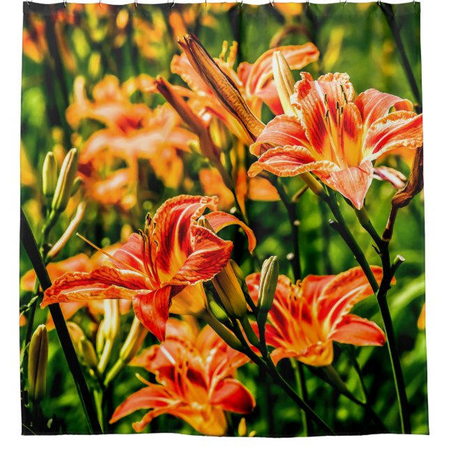 Orange Daylilies Flowers Shower Curtain (Front)