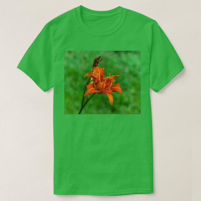 Orange Daylily 1 T-Shirt (Design Front)