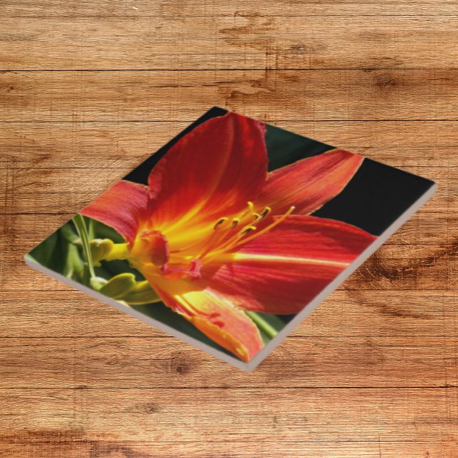 Orange Daylily Bloom Floral Ceramic Tile (In Situ)