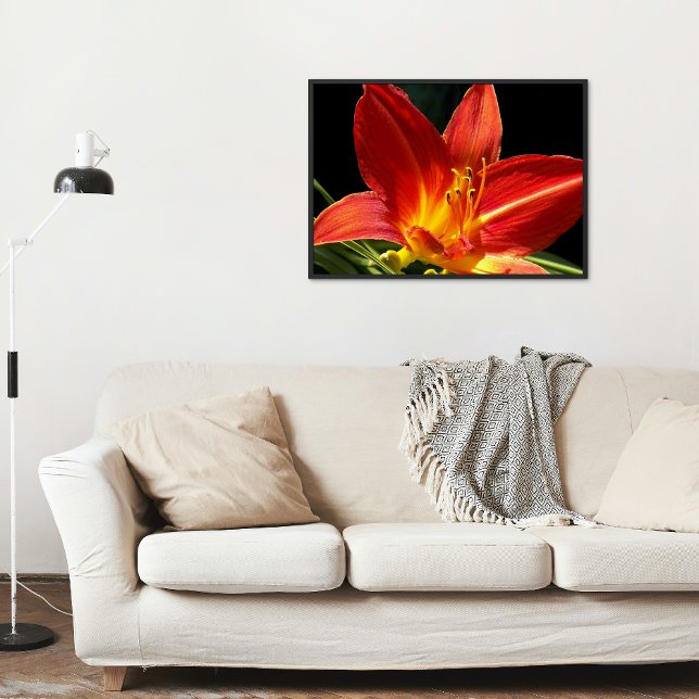 Orange Daylily Bloom Floral Poster (In Situ)