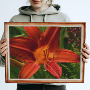 Orange Daylily Bloom Floral Poster