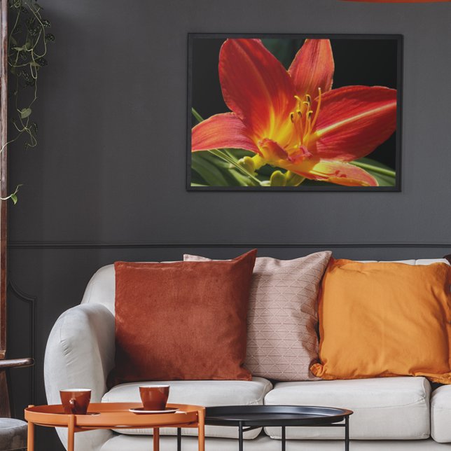 Orange Daylily Bloom Floral Poster (In Situ Framed)