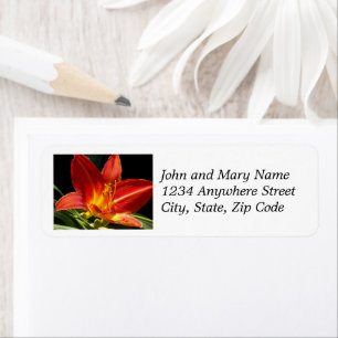 Orange Daylily Bloom Floral Return Address Label