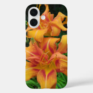 Orange Daylily Blooms iPhone 16 Case