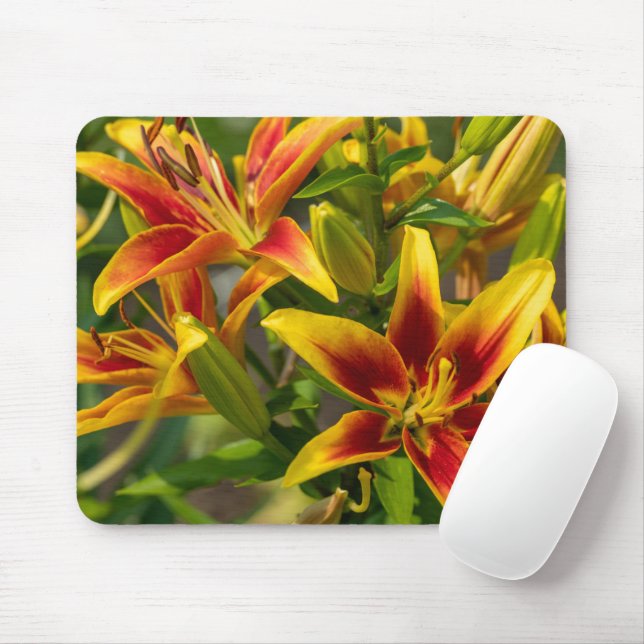 Orange Daylily Canadian Flower Photography Mouse Pad (With Mouse)
