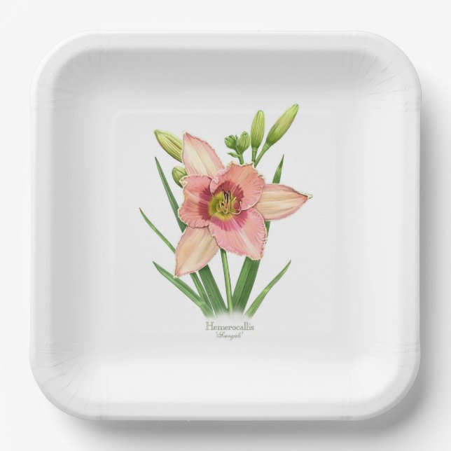 Orange Daylily Flower Botanical Art Paper Plate (Front)