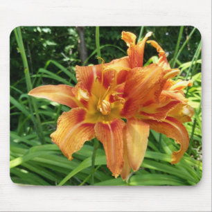 Orange Daylily Flowers Horizontal Mouse Pad