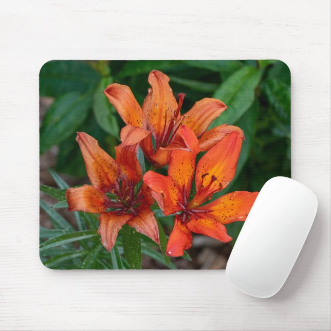 Orange Daylily Photography, Canadian Beauty Mouse Pad (With Mouse)