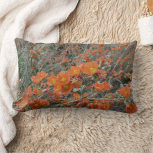 Orange Desert Globemallow Flowers In Bloom Lumbar Cushion
