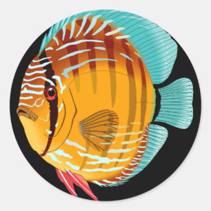 Orange Discus Classic Round Sticker
