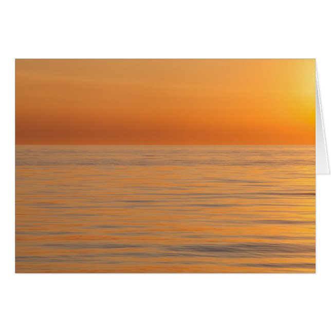 Orange Dream Beach (Front Horizontal)